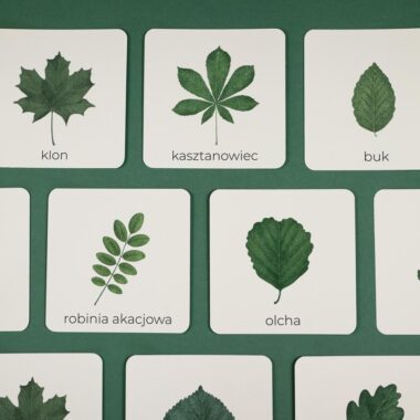 🍂 Niezbędnik Jesienny - 4 zestawy razem w wyjątkowej ofercie - obrazek 17