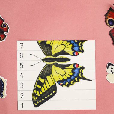 🦋 Motyle - Mega Pakiet aktywności dla dzieci do druku - obrazek 10