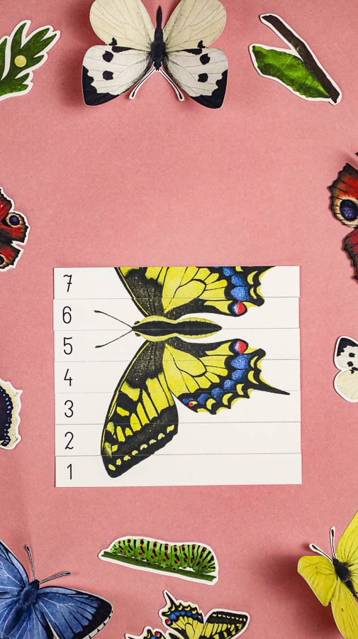 motyle mega pakiet montessori karty trojdzielne klamerkowe count n clip skrzydla 51