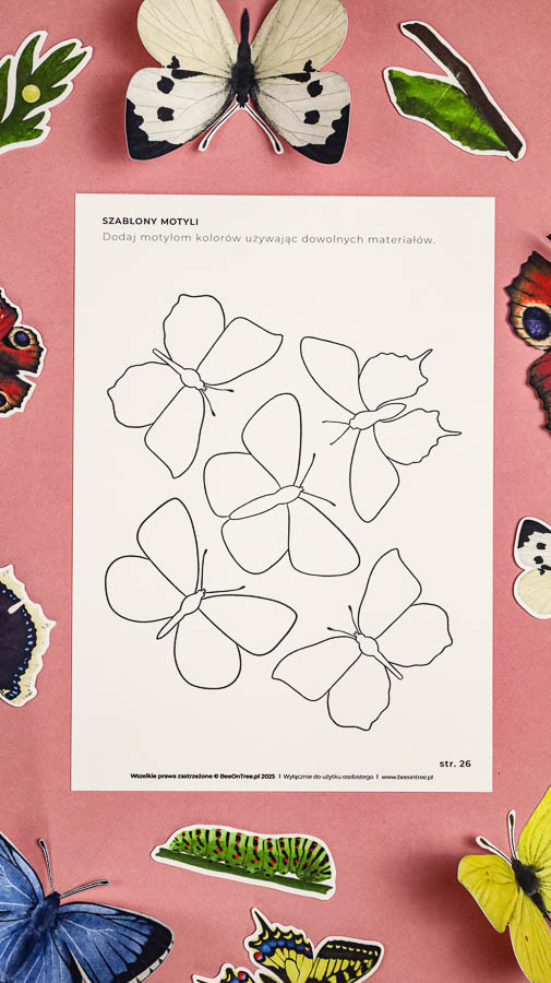 motyle mega pakiet montessori karty trojdzielne klamerkowe count n clip skrzydla 52