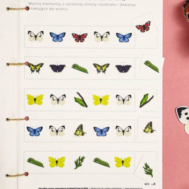 🦋 Motyle - Mega Pakiet aktywności dla dzieci do druku - obrazek 12