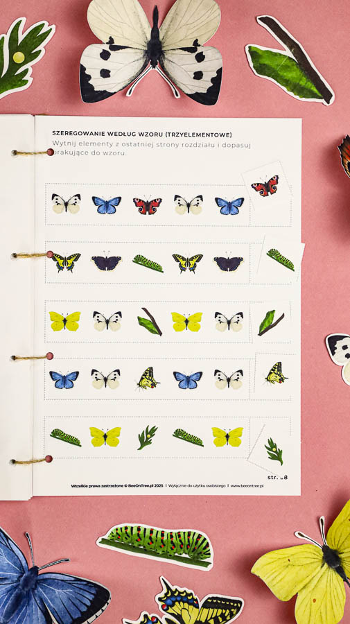 motyle mega pakiet montessori karty trojdzielne klamerkowe count n clip skrzydla 53