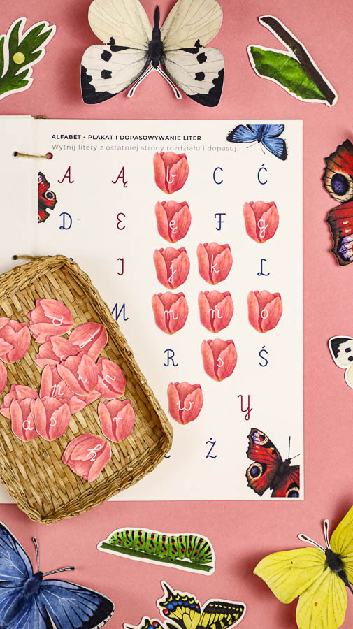 motyle mega pakiet montessori karty trojdzielne klamerkowe count n clip skrzydla 54