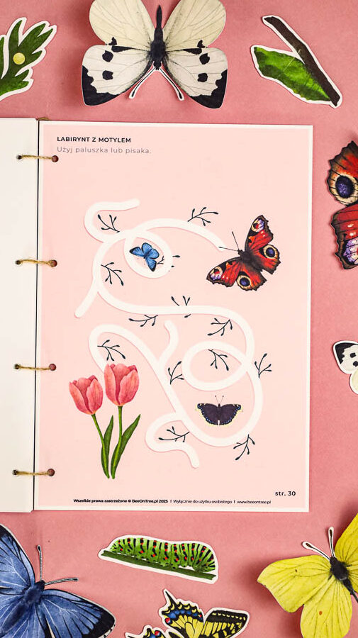 motyle mega pakiet montessori karty trojdzielne klamerkowe count n clip skrzydla 55 e1743464225862