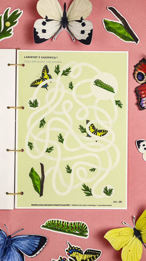 motyle mega pakiet montessori karty trojdzielne klamerkowe count n clip skrzydla 56