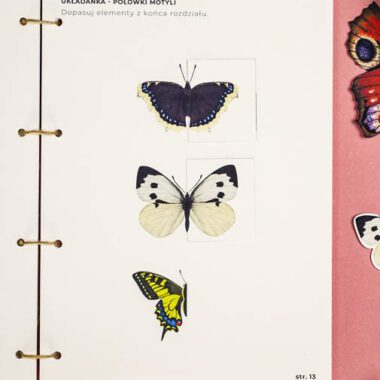🦋 Motyle - Mega Pakiet aktywności dla dzieci do druku - obrazek 15