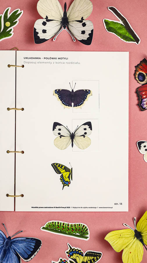 motyle mega pakiet montessori karty trojdzielne klamerkowe count n clip skrzydla 57