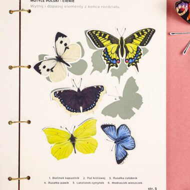 🦋 Motyle - Mega Pakiet aktywności dla dzieci do druku - obrazek 18