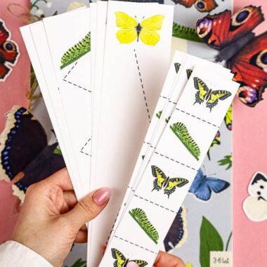 🦋 Motyle - Mega Pakiet aktywności dla dzieci do druku - obrazek 8
