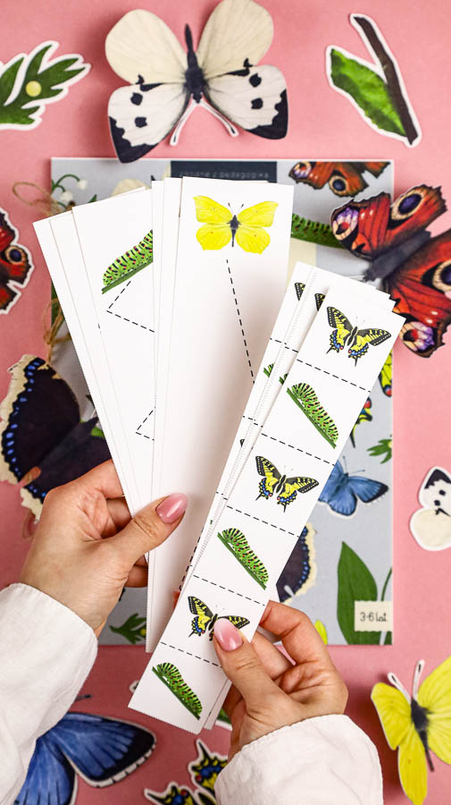 motyle mega pakiet montessori karty trojdzielne klamerkowe count n clip skrzydla 61