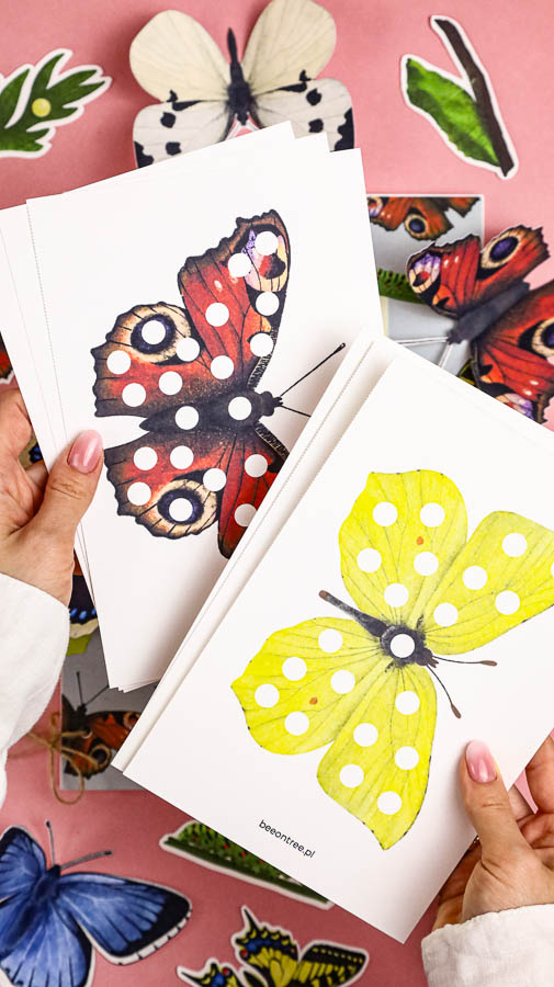 motyle mega pakiet montessori karty trojdzielne klamerkowe count n clip skrzydla 62