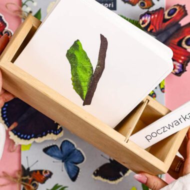 🦋 Motyle - Mega Pakiet aktywności dla dzieci do druku - obrazek 6