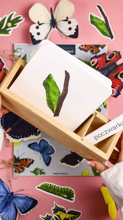 motyle mega pakiet montessori karty trojdzielne klamerkowe count n clip skrzydla 63