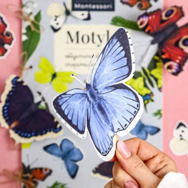 🦋 Motyle - Mega Pakiet aktywności dla dzieci do druku - obrazek 3