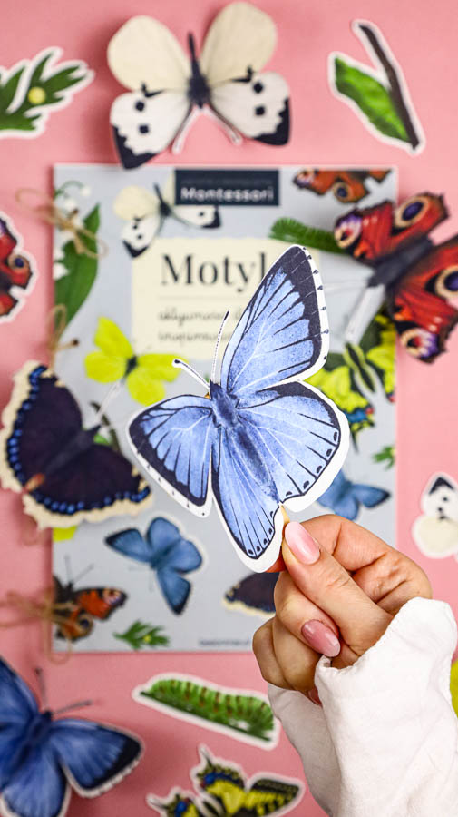 motyle mega pakiet montessori karty trojdzielne klamerkowe count n clip skrzydla 65