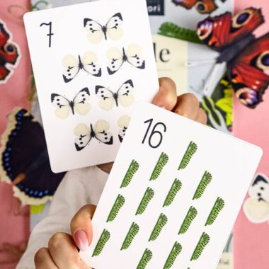 🦋 Motyle - Mega Pakiet aktywności dla dzieci do druku - obrazek 7