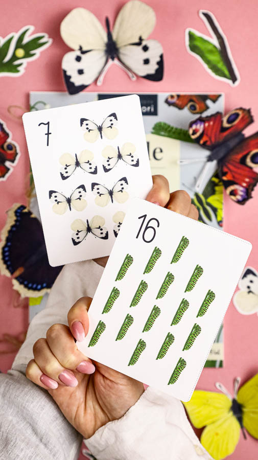 motyle mega pakiet montessori karty trojdzielne klamerkowe count n clip skrzydla 66