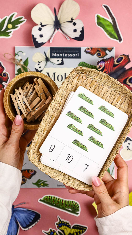 motyle mega pakiet montessori karty trojdzielne klamerkowe count n clip skrzydla 68