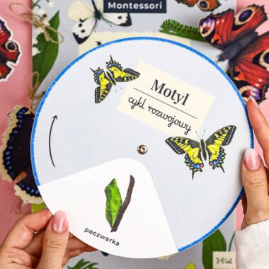🦋 Motyle - Mega Pakiet aktywności dla dzieci do druku - obrazek 2