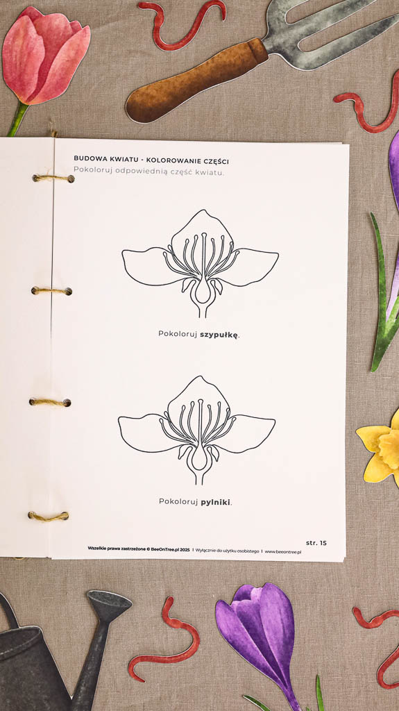 Ogrodnik Zestaw aktywnosci montessori do druku pdf printablekarty klamerkowe liczenie cyfry grafomotoryka matematyka ogrod lopatka tulipan ebook 08