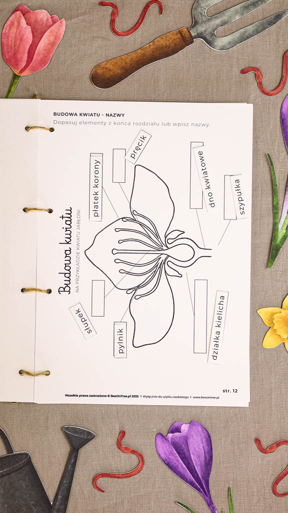 Ogrodnik Zestaw aktywnosci montessori do druku pdf printablekarty klamerkowe liczenie cyfry grafomotoryka matematyka ogrod lopatka tulipan ebook 09