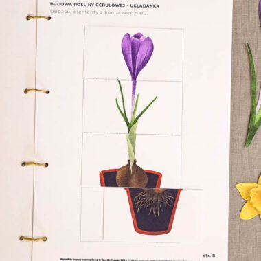 🪴 Ogrodnik - Mega Pakiet aktywności dla dzieci do druku - obrazek 15