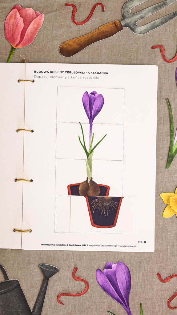 Ogrodnik Zestaw aktywnosci montessori do druku pdf printablekarty klamerkowe liczenie cyfry grafomotoryka matematyka ogrod lopatka tulipan ebook 10