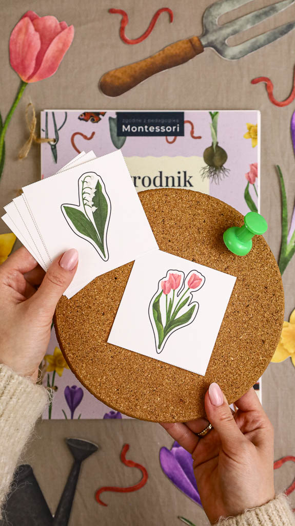 Ogrodnik Zestaw aktywnosci montessori do druku pdf printablekarty klamerkowe liczenie cyfry grafomotoryka matematyka ogrod lopatka tulipan ebook 14
