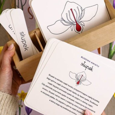 🪴 Ogrodnik - Mega Pakiet aktywności dla dzieci do druku - obrazek 3