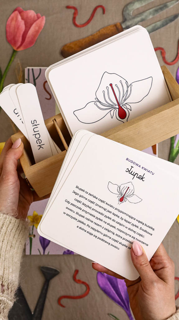 Ogrodnik Zestaw aktywnosci montessori do druku pdf printablekarty klamerkowe liczenie cyfry grafomotoryka matematyka ogrod lopatka tulipan ebook 16