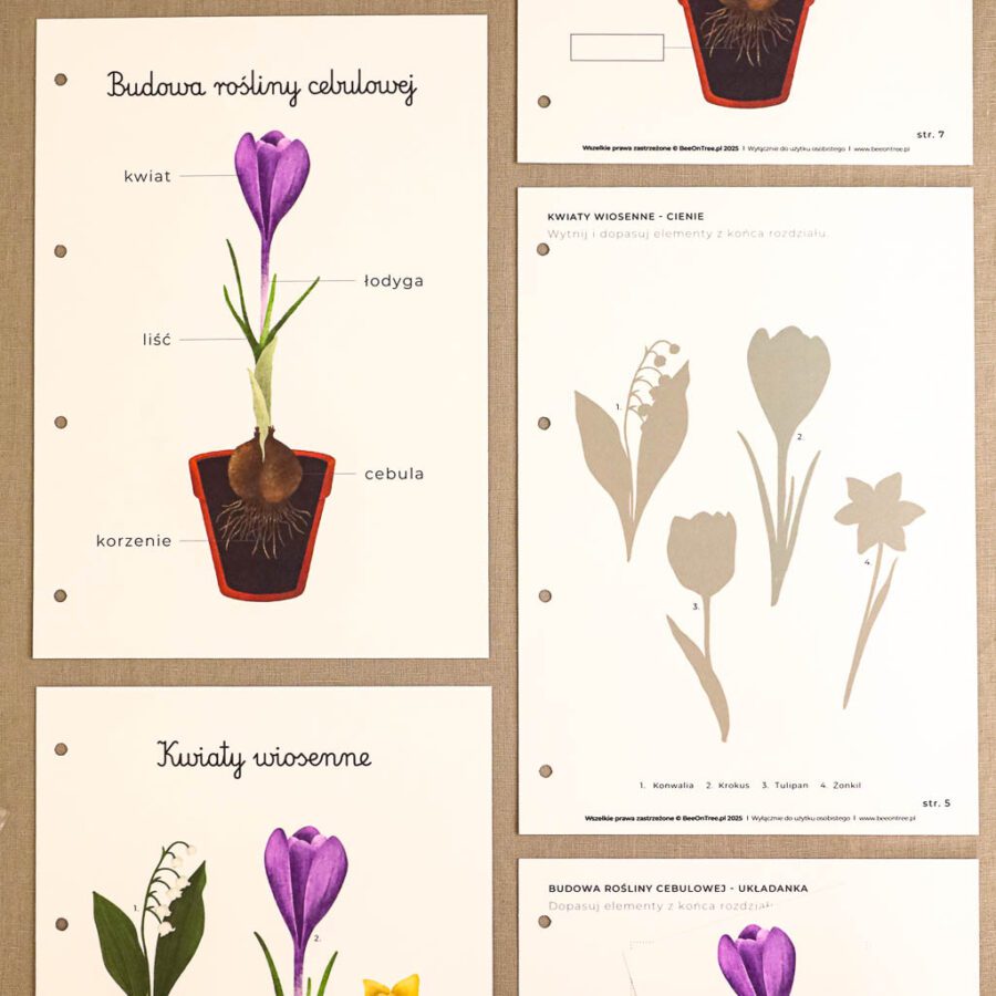 Ogrodnik Zestaw aktywnosci montessori do druku pdf printablekarty klamerkowe liczenie cyfry grafomotoryka matematyka ogrod lopatka tulipan ebook 56