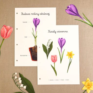 🪴 Ogrodnik - Plakaty edukacyjne z ćwiczeniami - obrazek 1