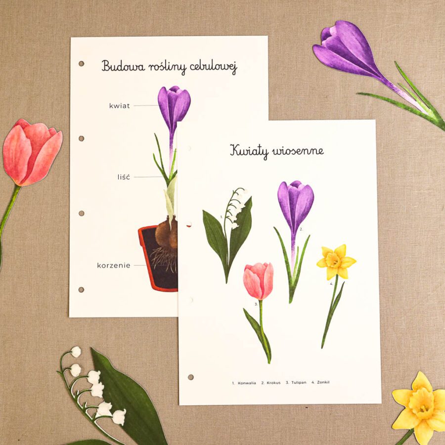 Ogrodnik Zestaw aktywnosci montessori do druku pdf printablekarty klamerkowe liczenie cyfry grafomotoryka matematyka ogrod lopatka tulipan ebook 57