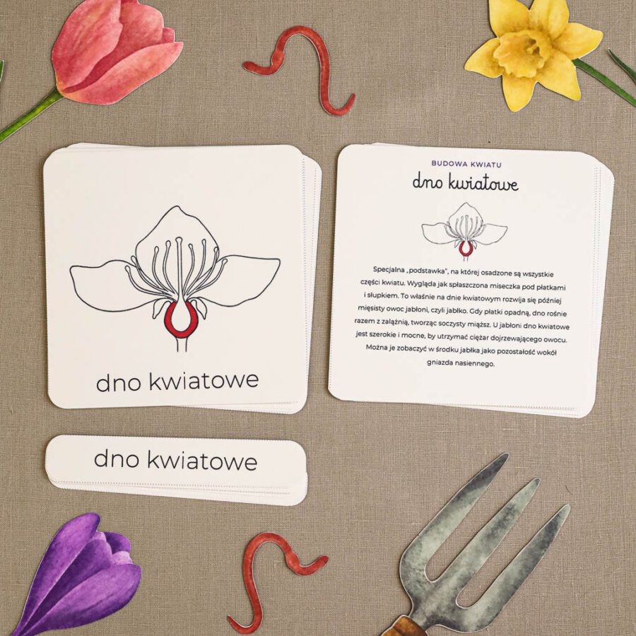 Ogrodnik Zestaw aktywnosci montessori do druku pdf printablekarty klamerkowe liczenie cyfry grafomotoryka matematyka ogrod lopatka tulipan ebook 75