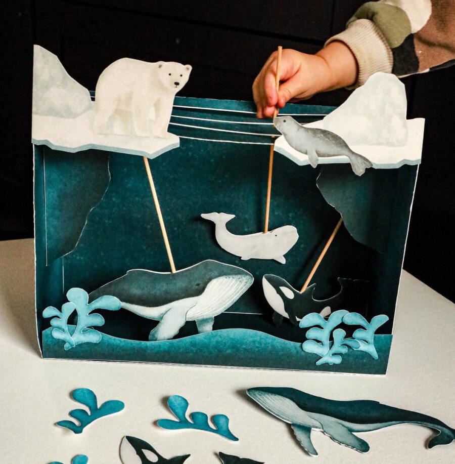 pudelkowy ocean arktyczny arktyka beeontree orka niedzwiedz polarny foka beluga montessori 1