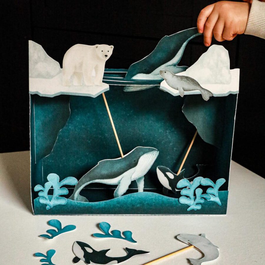 pudelkowy ocean arktyczny arktyka beeontree orka niedzwiedz polarny foka beluga montessori 2