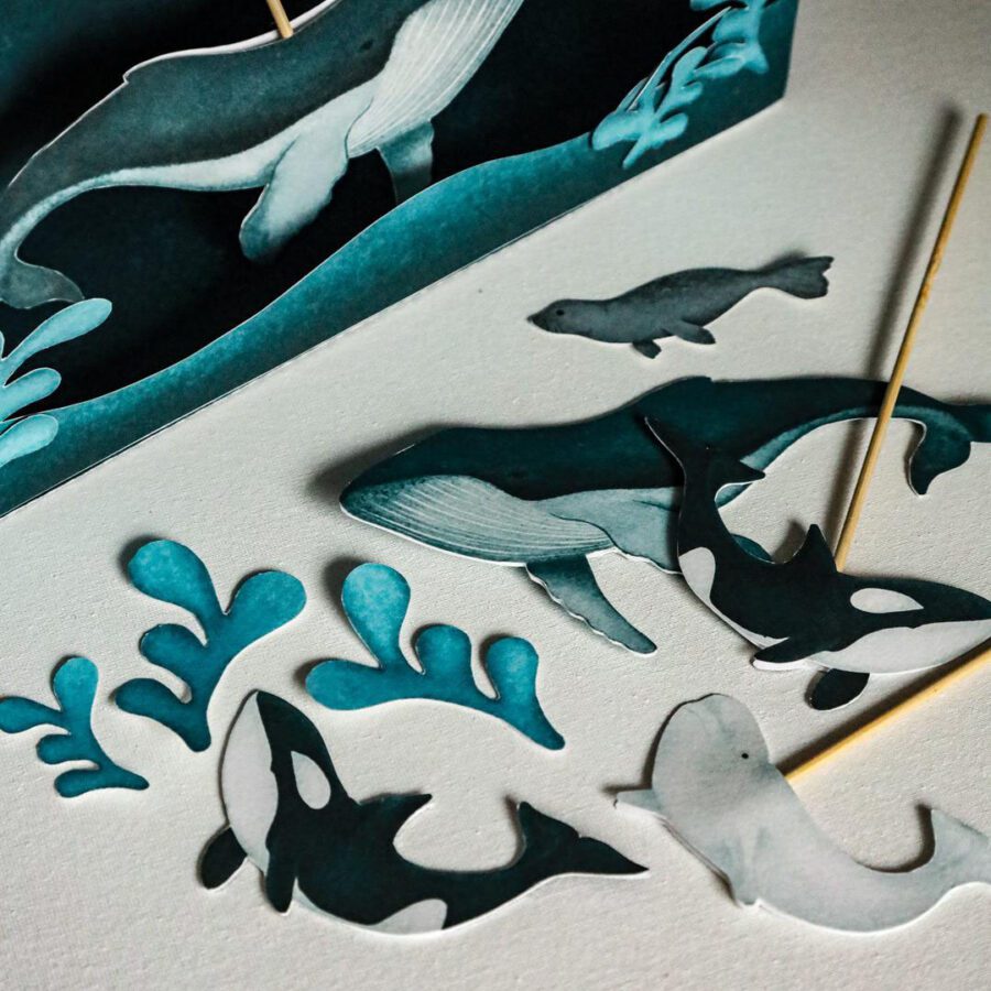 pudelkowy ocean arktyczny arktyka beeontree orka niedzwiedz polarny foka beluga montessori 3