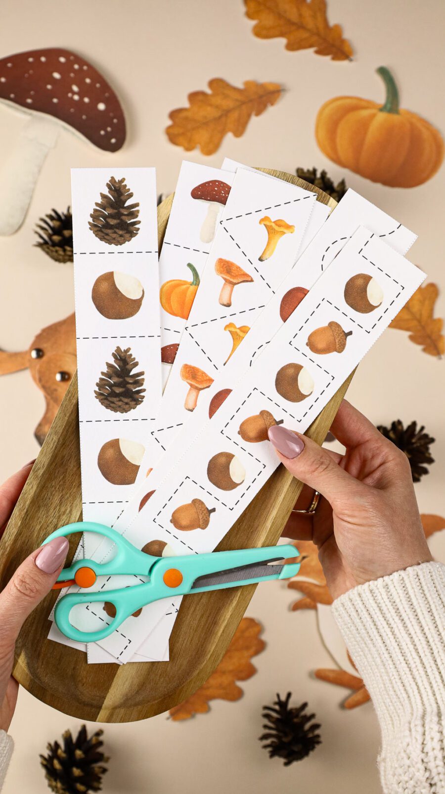 Jesien zeszyt cwiczen mega pakiet Karty edukacyjne trojdzielne klamerkowe dary skarby jesieni beeontree montessori 26