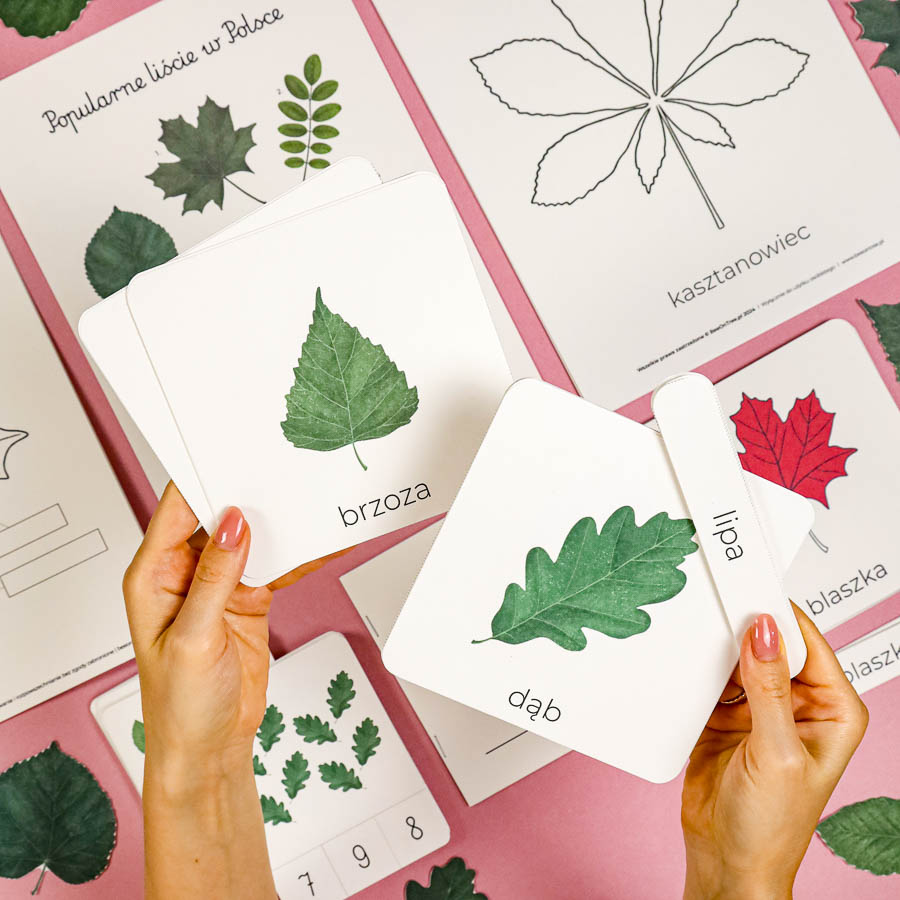 Liscie zielnik Beeontree.pl Montessori printables PDF 212