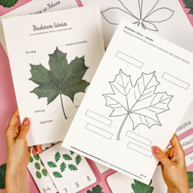 🍂 Niezbędnik Jesienny - 5 zestawów razem w wyjątkowej ofercie - obrazek 15