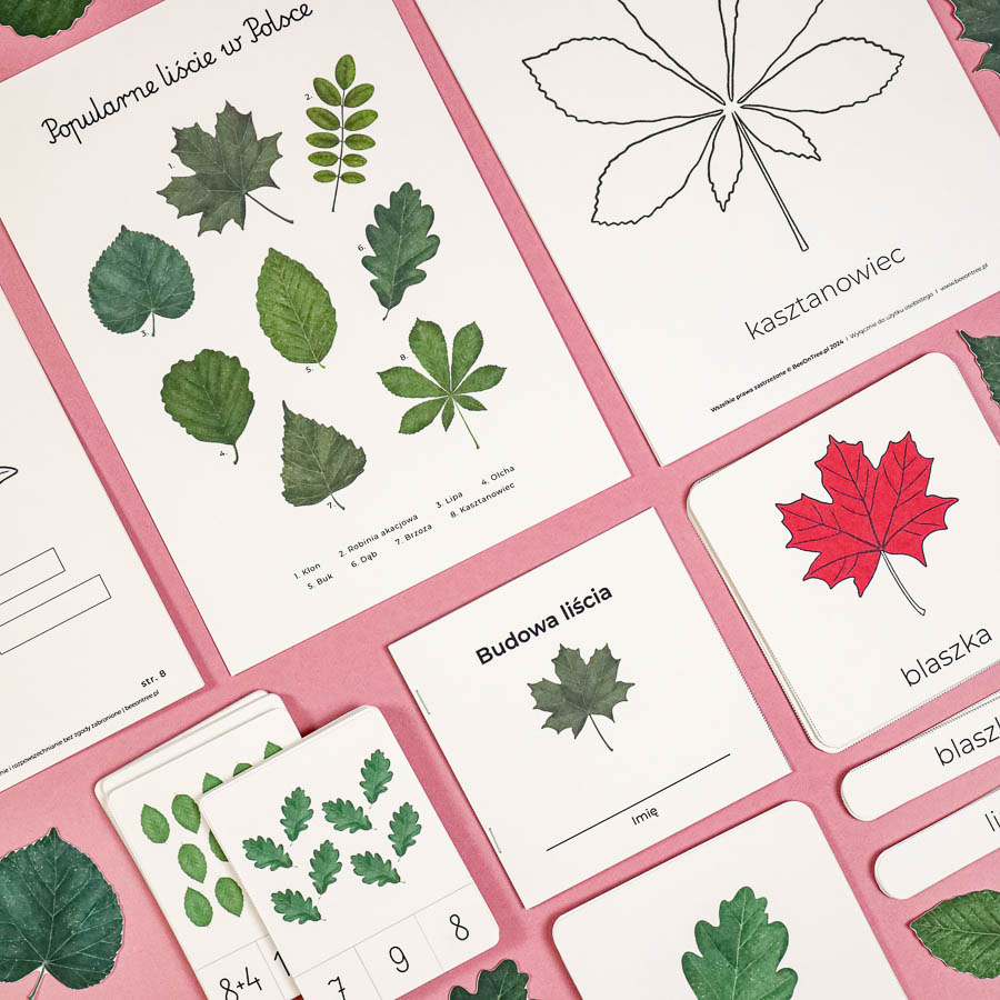 Liscie zielnik Beeontree.pl Montessori printables PDF 214