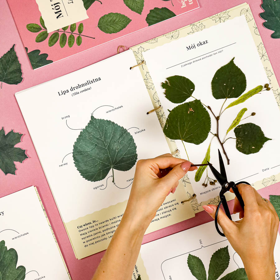 Liscie zielnik Beeontree.pl Montessori printables PDF 215