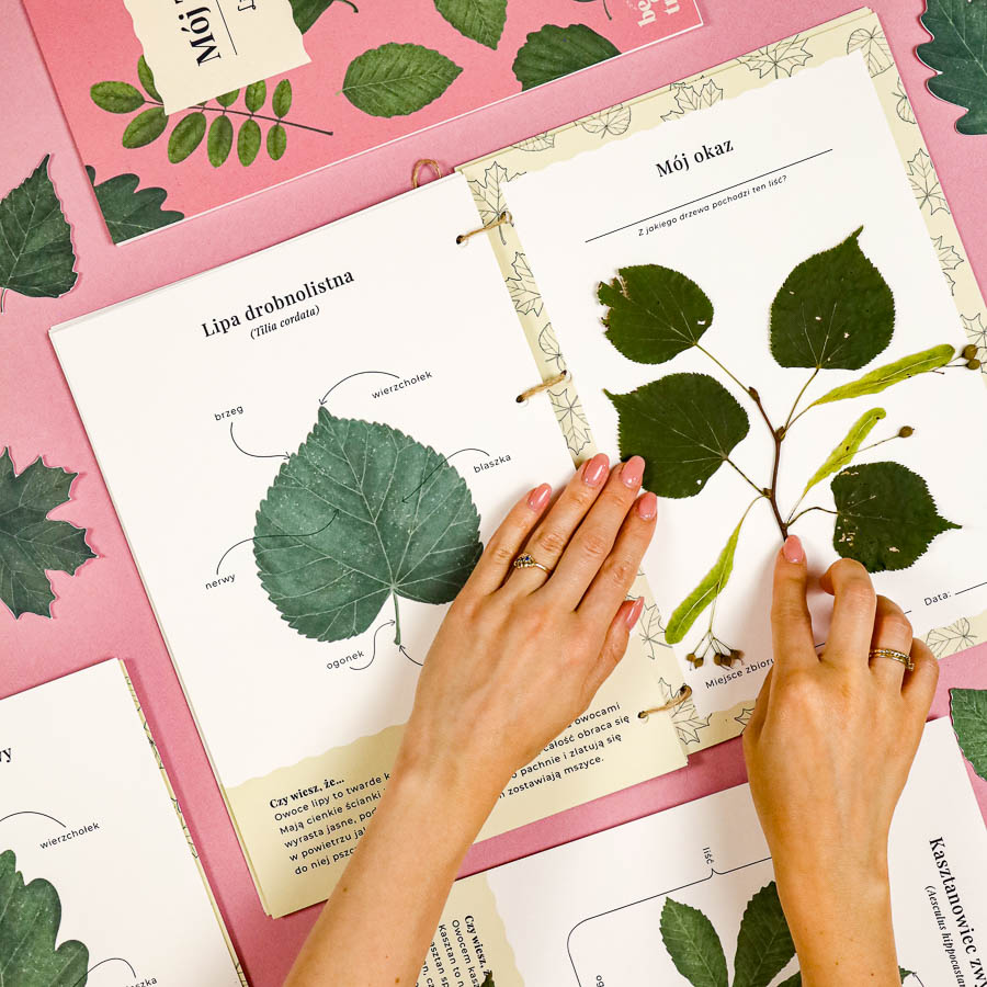 Liscie zielnik Beeontree.pl Montessori printables PDF 218