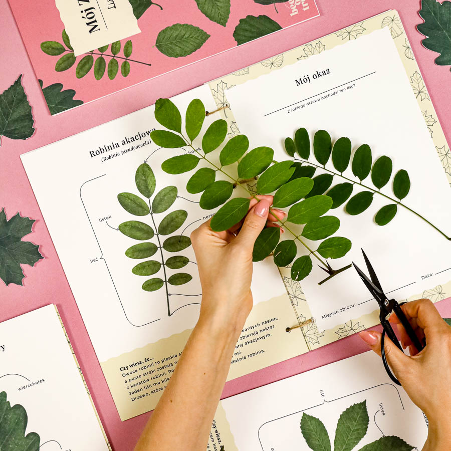 Liscie zielnik Beeontree.pl Montessori printables PDF 220