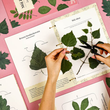 🍂 Niezbędnik Jesienny - 5 zestawów razem w wyjątkowej ofercie - obrazek 6