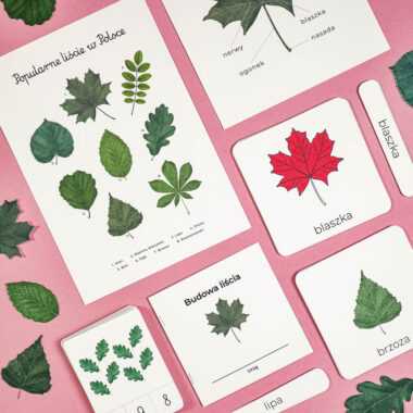 🍂 Niezbędnik Jesienny - 5 zestawów razem w wyjątkowej ofercie - obrazek 26