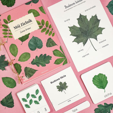 🍂 Niezbędnik Jesienny - 5 zestawów razem w wyjątkowej ofercie - obrazek 2