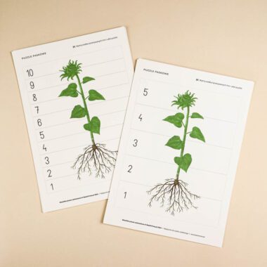 🌻 Słonecznik - puzzle paskowe - układanki - obrazek 3