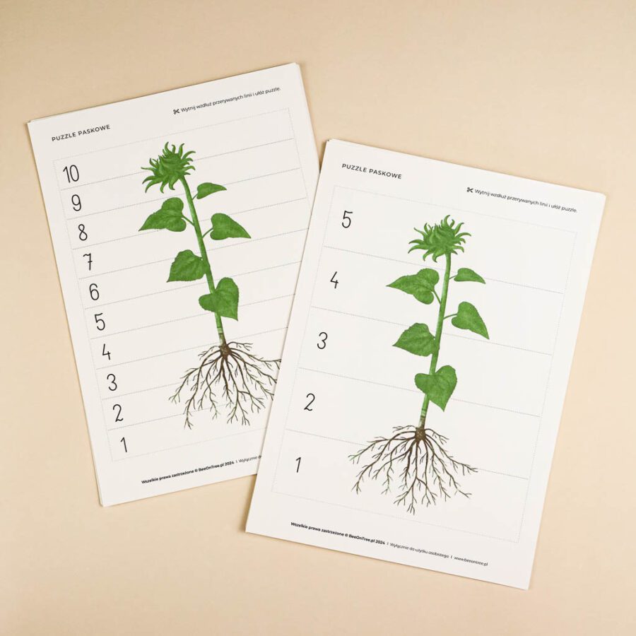 Slonecznik aktywnosci dla dzieci do druku zestawbeeontree tulalas montessori30