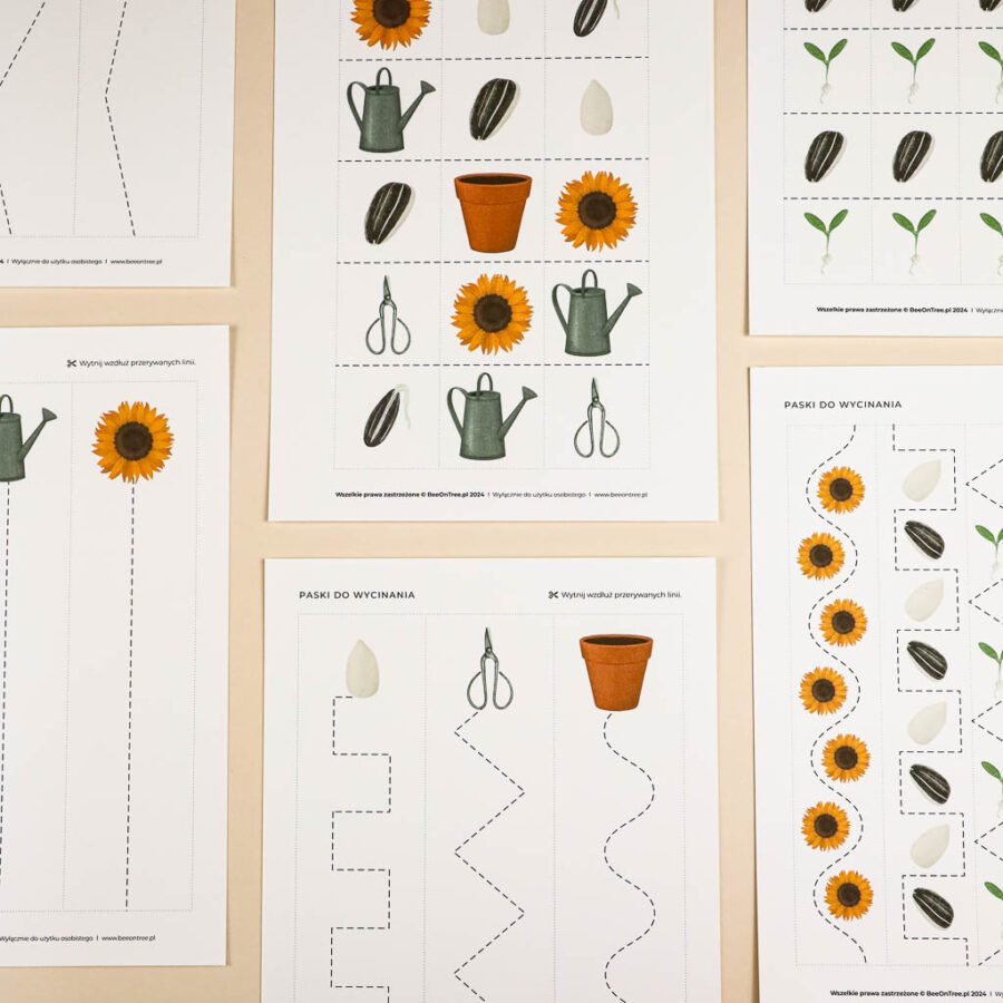 Slonecznik aktywnosci dla dzieci do druku zestawbeeontree tulalas montessori51